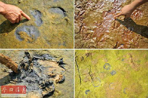 �ĴC:��ä��~�^�V�Y�� �e����������ǯf��