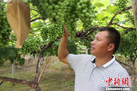 �Q�b�����W�L��Ҧ���F���ϡL��Ҧ���E�_�߯��n�V