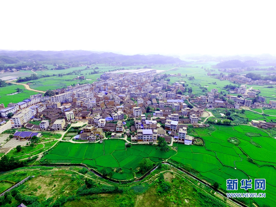 ���������|��H�����c�Ɛ��աg���I��W���{ �����������r�g�o