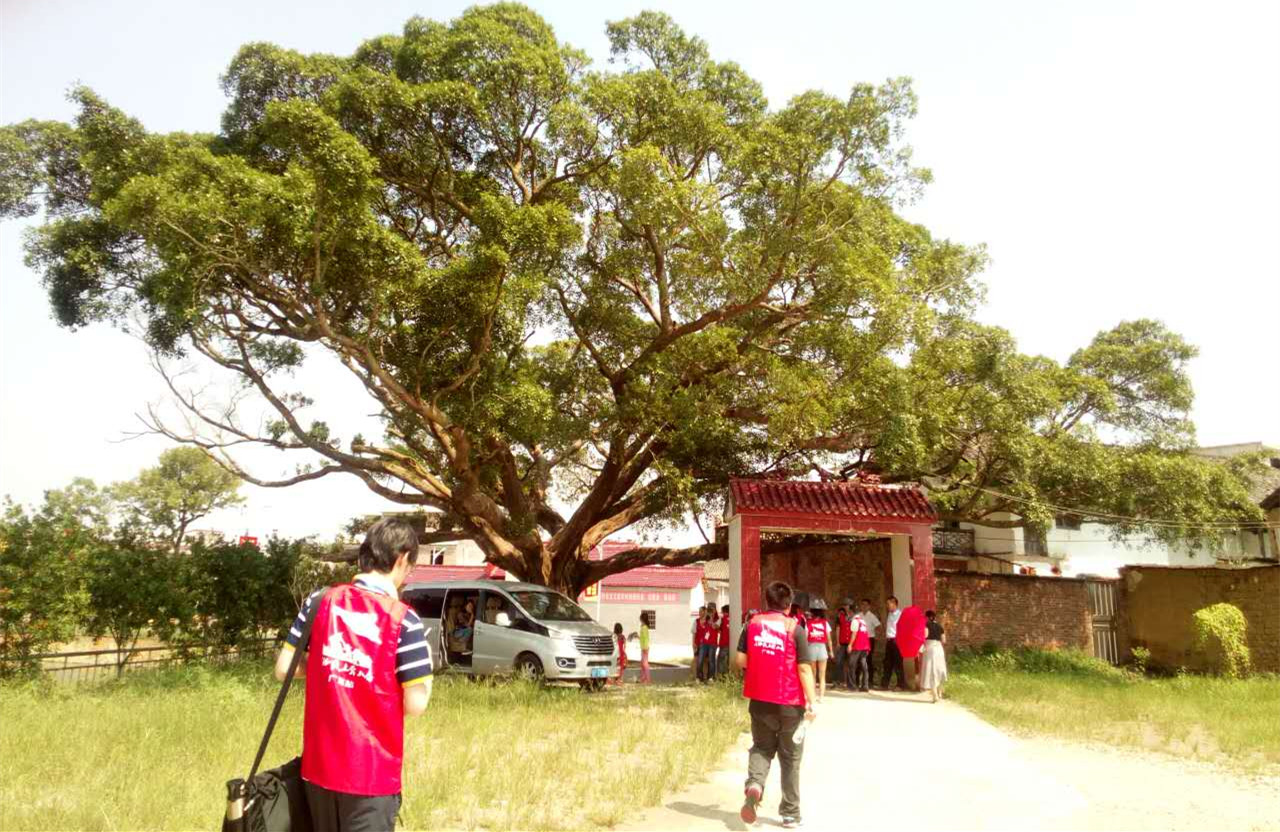 �G�I�дC�y���r��H�l���̔\�@���Y�d���������Qֶ���Фߕ�