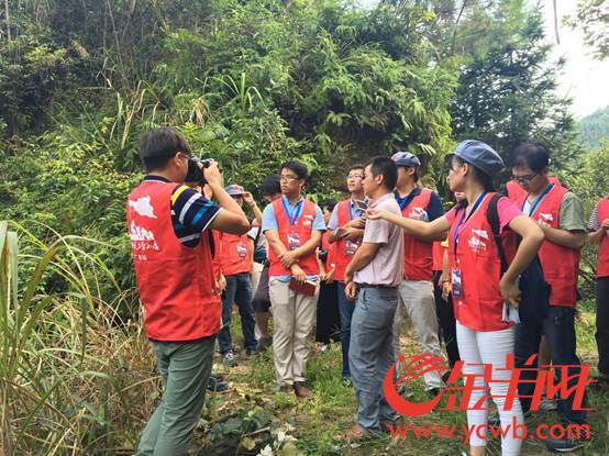 qݐޥgR80%Y`PڒڦޕhVX2000֣ڦ