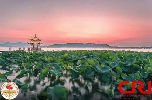 ��ä�����LG20���s���{���Ð� �}�@�I��