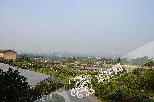 ���Ē���]�L�g���͒顲