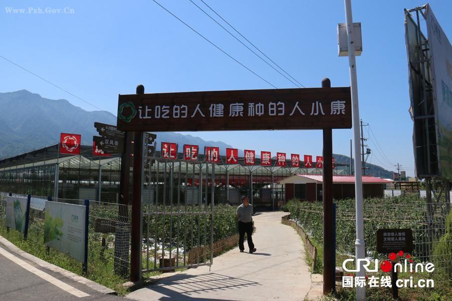 �����p�s�����թx��