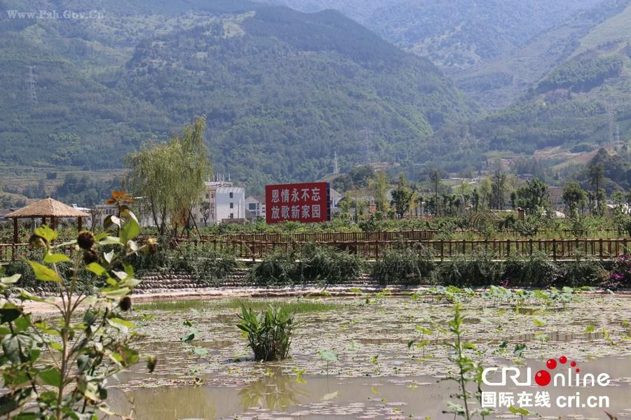 �����p�s�����թx��