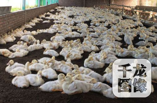 �r��K�n�����Y�P��}��