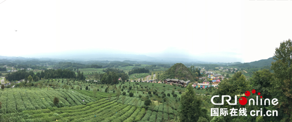 �ʕ[�q�I���D