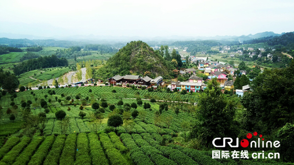 �ʕ[�q�I���D