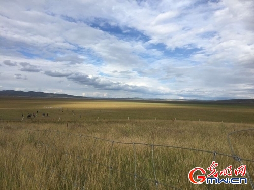 �G�I�дC�y���r��H�M�������}�I�H �}�|�ȔH�L��������