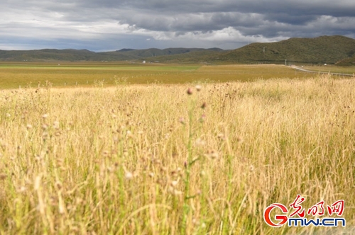 �G�I�дC�y���r��H�M�������}�I�H �}�|�ȔH�L��������