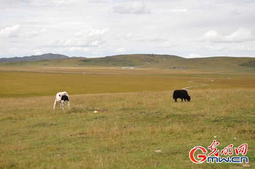 �G�I�дC�y���r��H�M�������}�I�H �}�|�ȔH�L��������