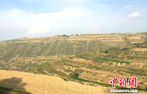 �˹j�����Y�|�Аत�s�I �P�j ��