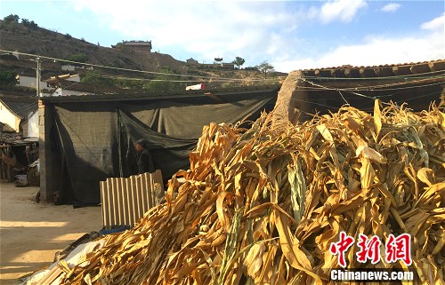 �y�ɺ����Y�|����a�त�s�I �P�j ��