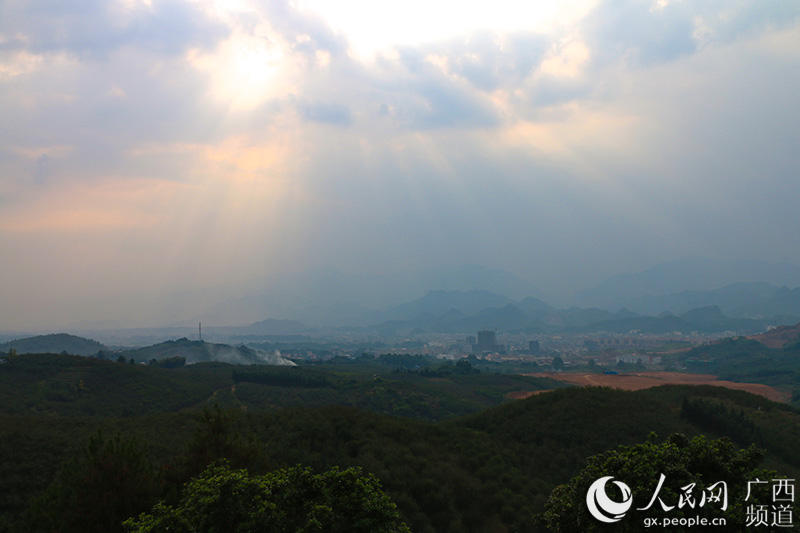 ���������ܭS�[�Шҩ���p��