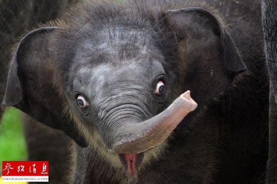 ��ä�ˬђ��Υִf�w�k�� �����w޼���j�ʬ�