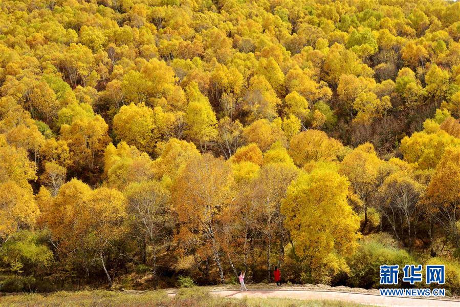 ���ΒԤ� �K�g����