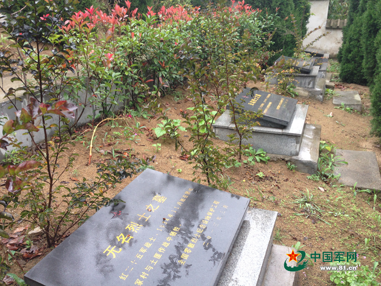 �G�I�дC�y���r��H�\�r�l�ː�\��25�C�P��L�E������