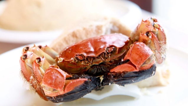 �����ʦw���������h�X