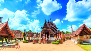 �t�M�F�u�u�Y�h�a