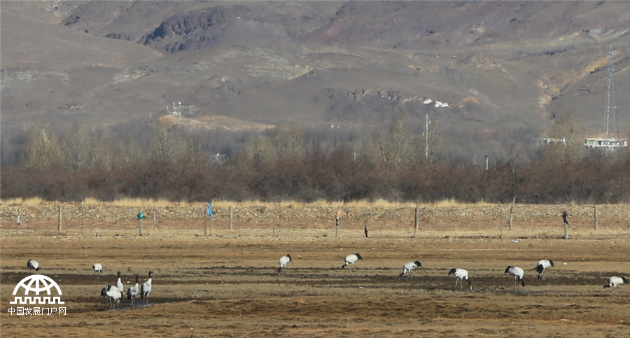 [�z�o�w��] ҧ�W�p����~���K�Y�H�� ����b�Y�Ѹj(����)