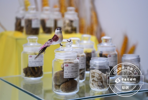 ���A���f������