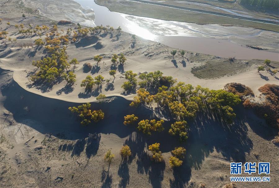 (�s�a�h�C�L������ޮ�����ʤ夬��)(1)�Ω�������~