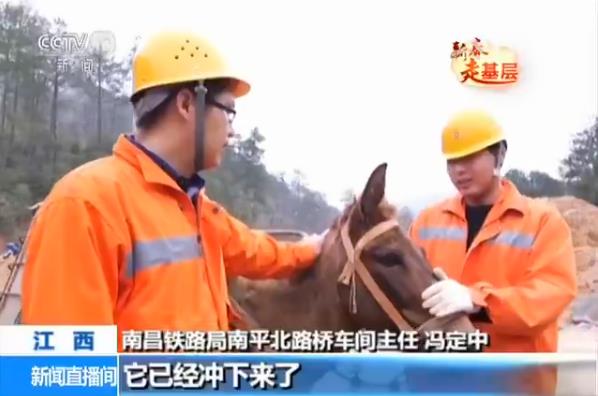 gY˪`\[ؽ}[ؽ}ޤEeՒ˽}