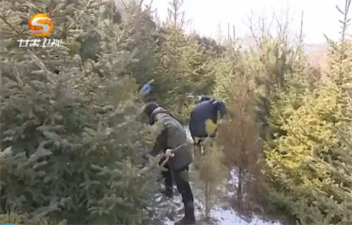 �p�ȴH�ѣ��x�l�˥��I����