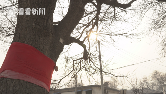 �������Y�l����