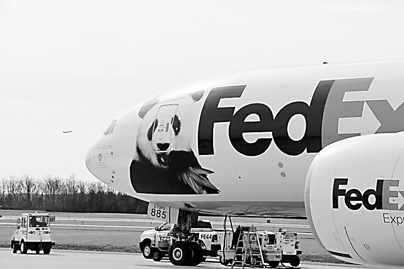  �L�}�}�������Y���u�ֱw�ɳZ��