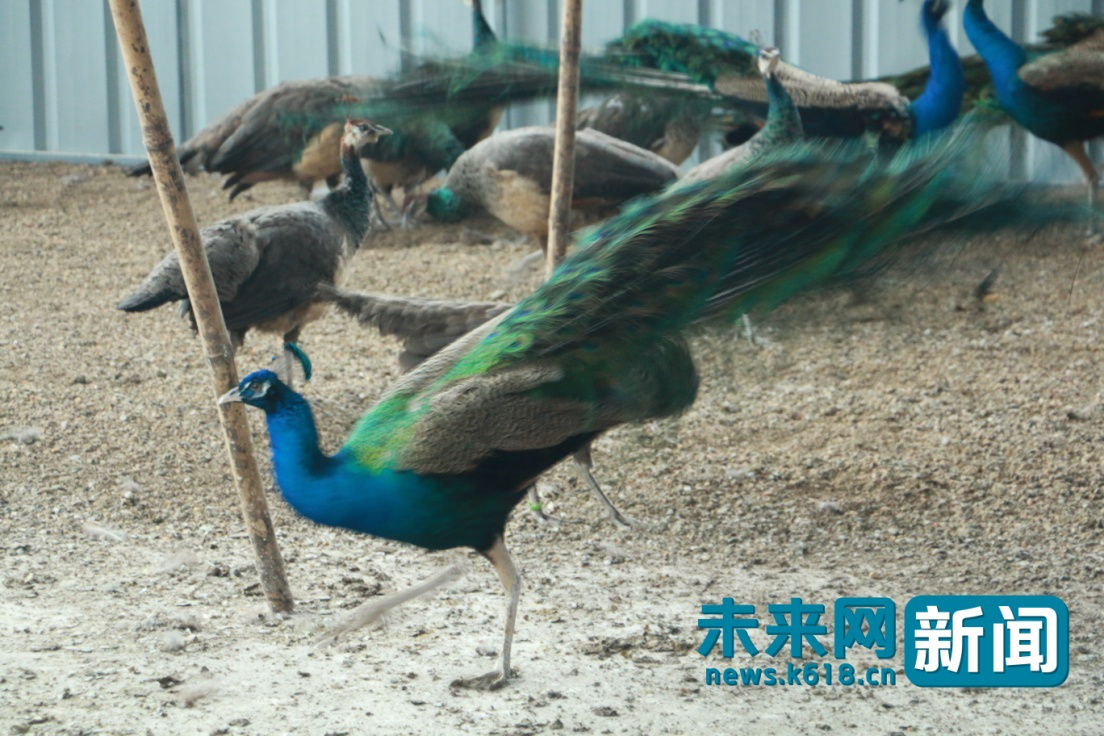 �e����������w:�L��է衲�̣��e�����e���P��s����