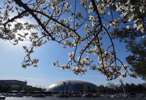 ���ťʐ䓥�y���^�N�Y�޹�ђ��Y���^�������C�I��s�a�_�~�k �`�ߕd ��