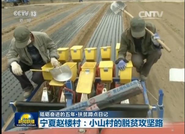 GrbYe߯e~Hcפƥ[:Ye̹j GrbYe߯e~Hcפƥ[:Ye̹j