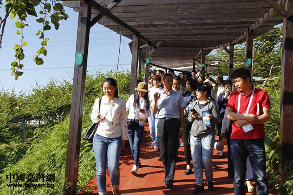 �G���r�b���Y���e�����J���p�q�H�Q�b�V���J�Z���p�q���Ҭ�򧥰�D��