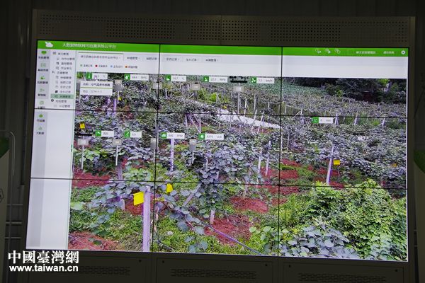 �G���r�b���Y���e�����J���p�q�H�Q�b�V���J�Z���p�q���Ҭ�򧥰�D��