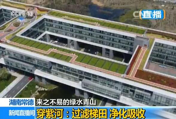 �p�g�������B�~���k�p�Y����