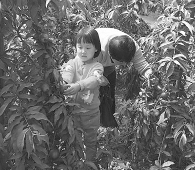 wpՕuULOg eK wpՕuULOg eK