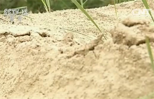 ���z���Y��H