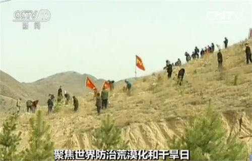 ����ޮ���Y�������z