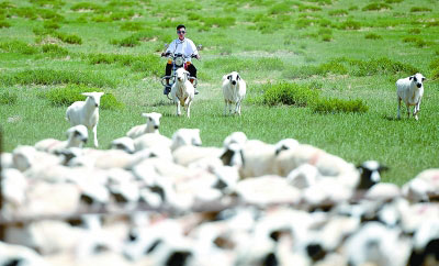 rˬiޓLdbDn rˬiޓLdbDn