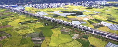 �n�e�i�e�ɬ��ܔU���_�Y�����n�b�G