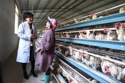 �n�e�i�e�ɬ��ܔU���_�Y�����n�b�G