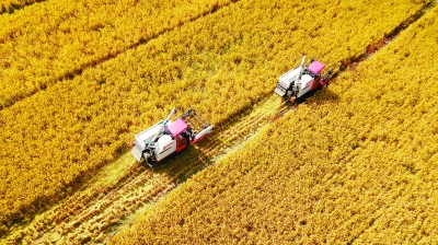 �G�����s���{�H�a���ݴ��c�I�t�I ����L�o���ՕW�W