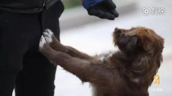 �F�̔��|�}�I�o��