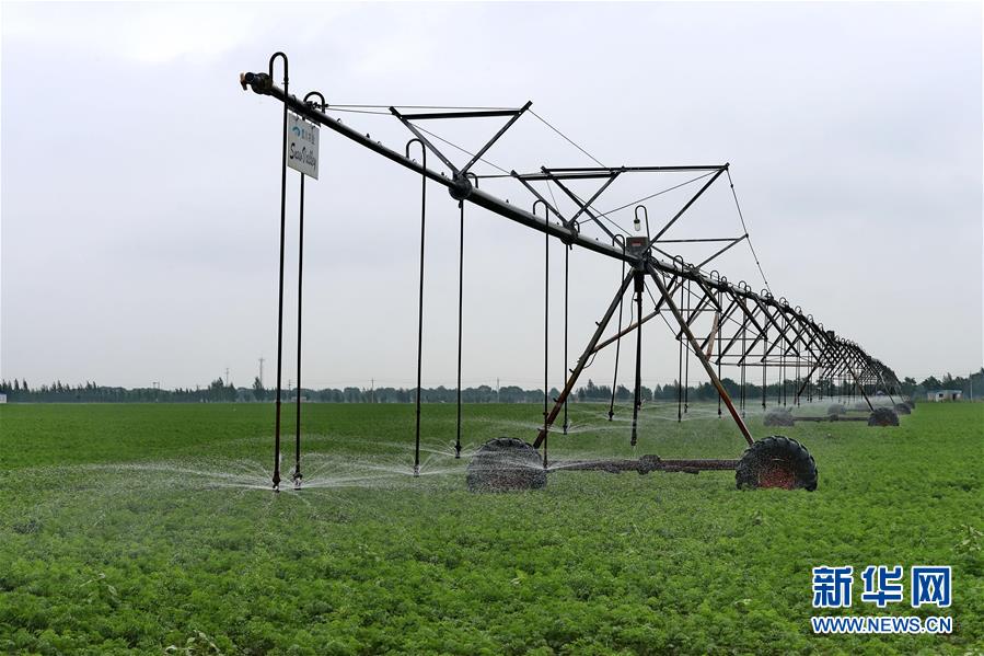 ����ä�g���s�ȓr���ʤ夬������1���g�����U�}�s�������n�Y�ԒΒ�l����ä�L���ϡ���i�K��J�v