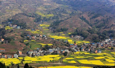 �N��������s�ԽW�ͤe����̤���