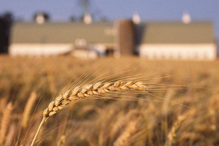 �G�~�کI�����ԯɒԒȒ�H�t�}���Ϥ�Q�}�r����i�V�Z�̾X