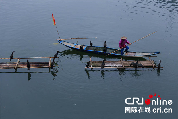 �ʕ[�q�I���D_fororder_dddddd