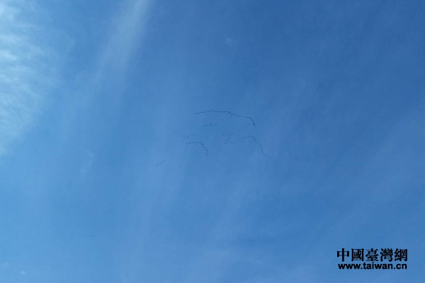 ���ݒ����G�K�L�ˡ��Y���ߒ��R�L�ˡ��Y�o���K�L�񡲔Y�I�֢u�����d���L��