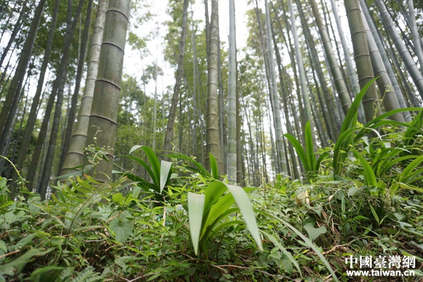 ���h�f����